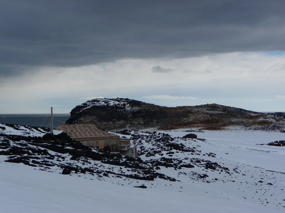 2009-10 Shackleton's 'Nimrod' hut and Cape Royds Ad&eacute;lie penguin rookery