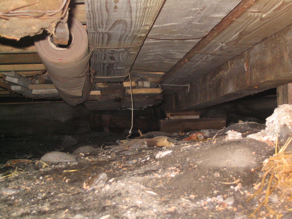 2006-07 Underneath Shackleton's 'Nimrod' hut, Cape Royds (003)