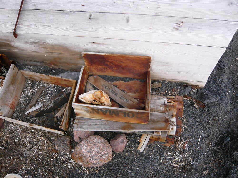2008 Artefacts outside Shackleton's 'Nimrod' hut, Cape Royds