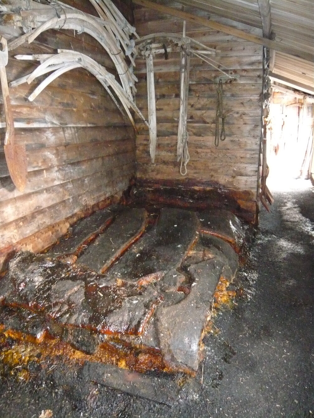 2008 Blubber pile inside Scott's 'Terra Nova' hut