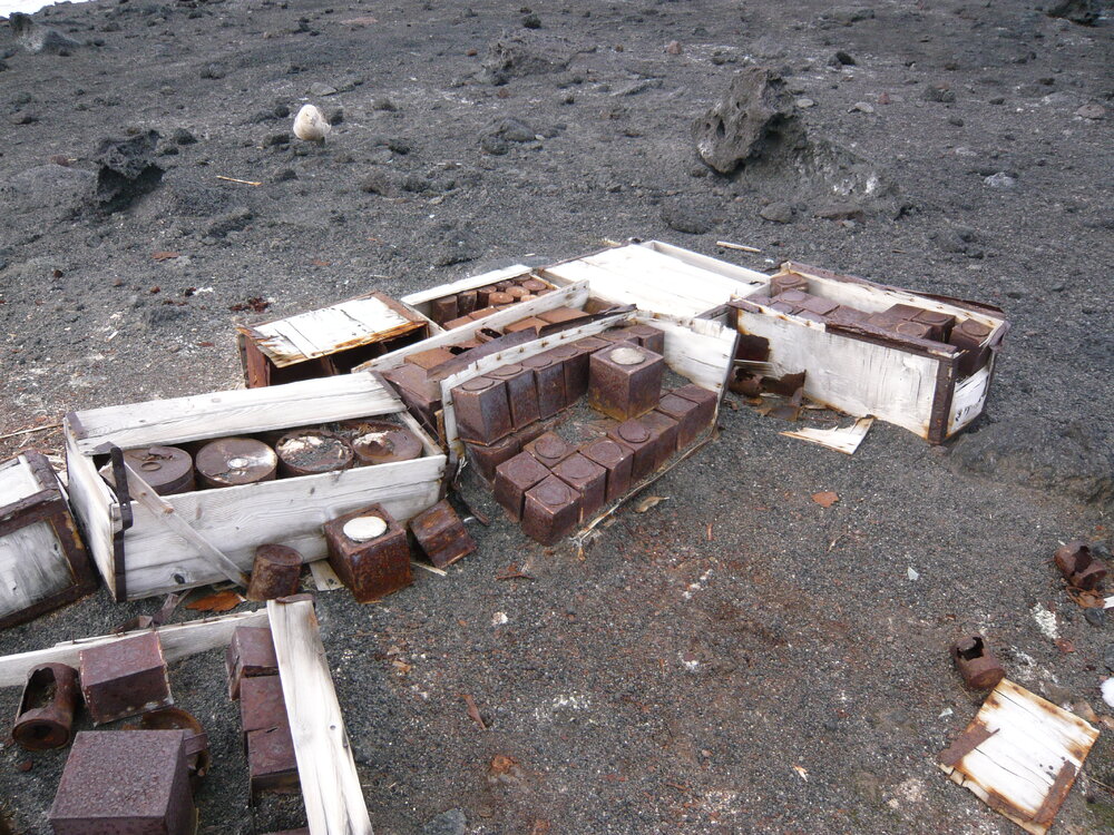 2008 Skua with historic food provisions, Cape Evans