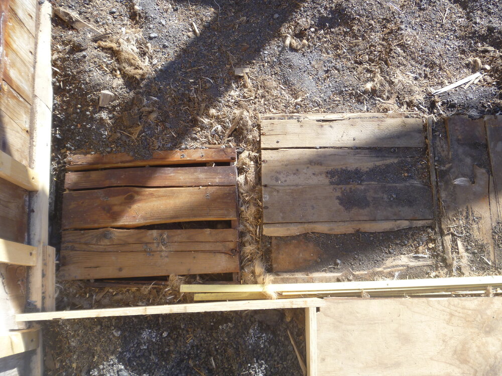 2010-11 Boxes excavated to ground level in the Stables, Cape Royds