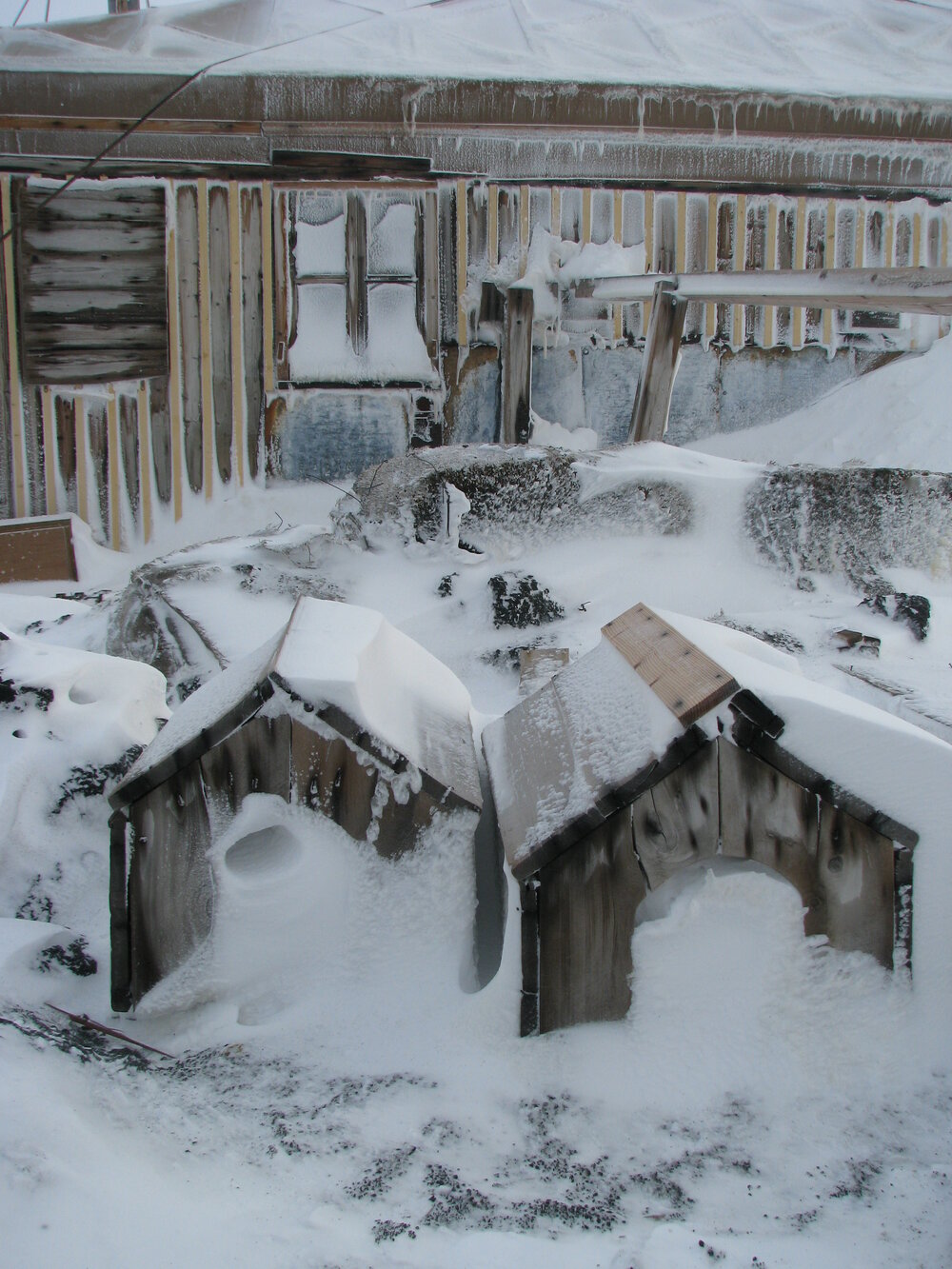 2010-11 Snow build-up around dog kennels at Shackleton's 'Nimrod' hut