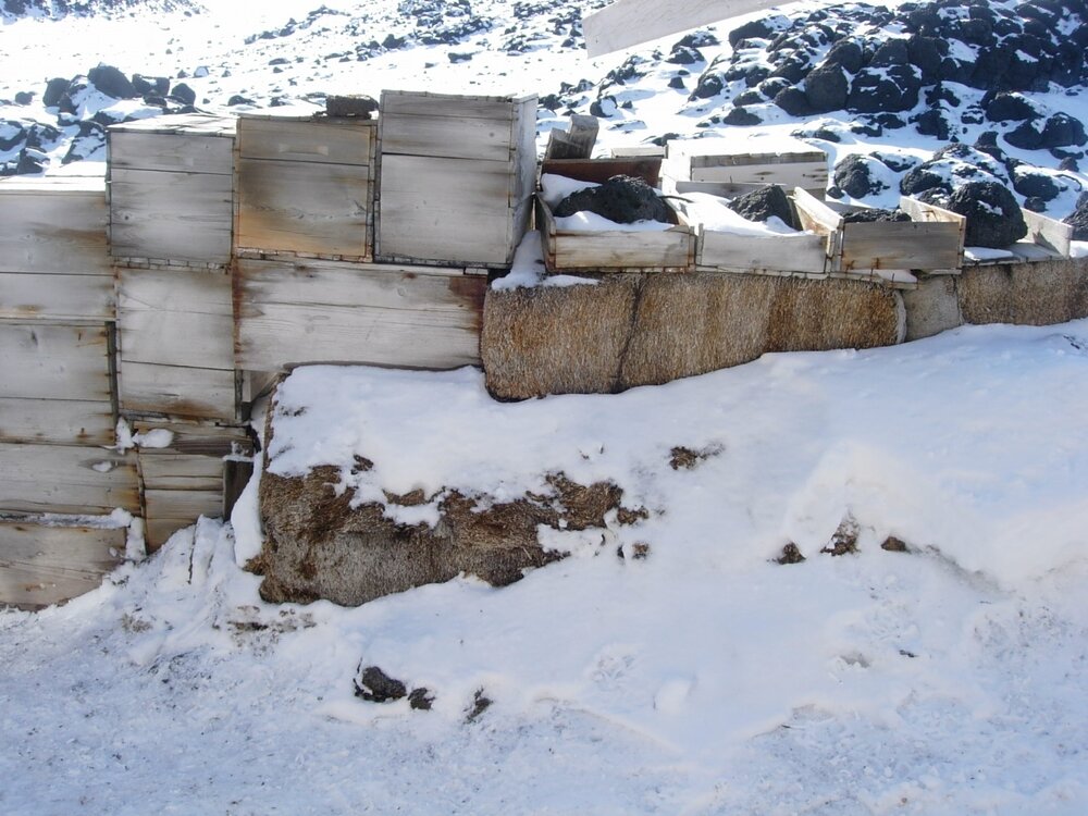 Garage on north side of Shackleton's 'Nimrod' hut (008)