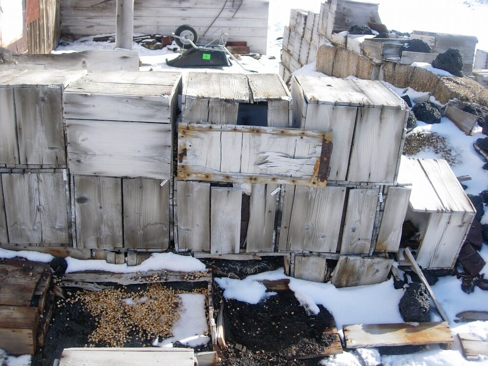 Garage on north side of Shackleton's 'Nimrod' hut (013)