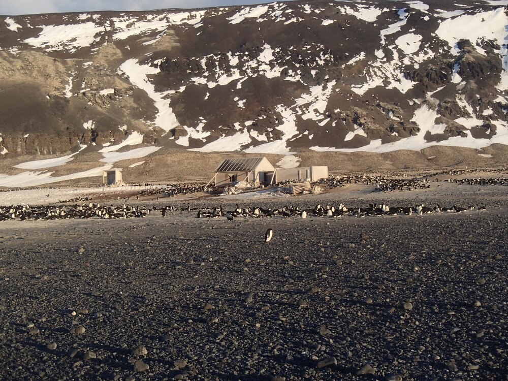 2015-16 The Cape Adare huts and penguin colony (002)