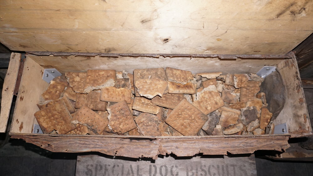 2021-22 Scott's 'Discovery' hut, interior, box of dog biscuits