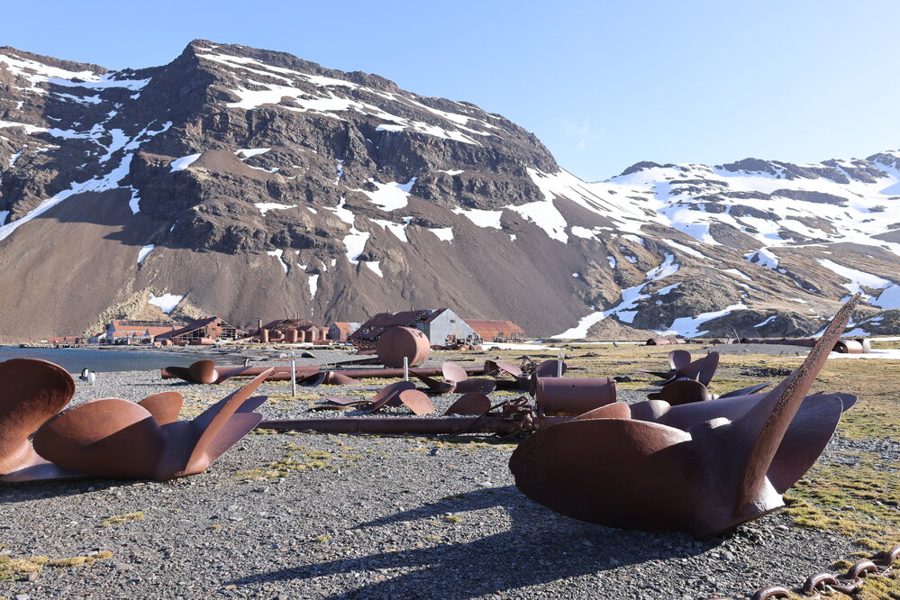 Stromness Whaling Station (001)
