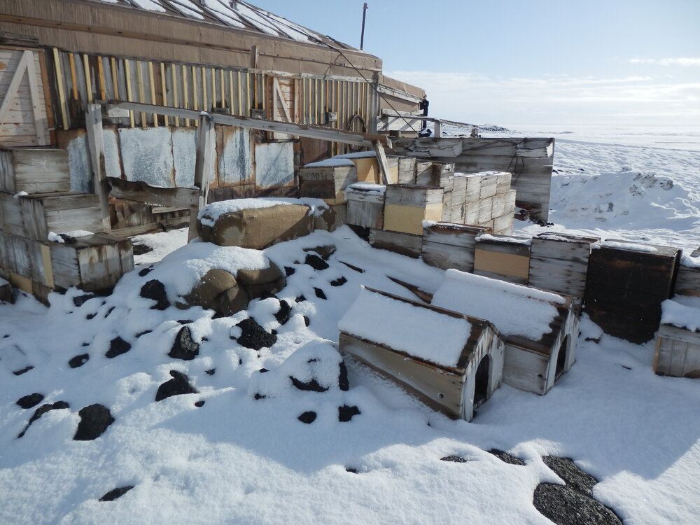 Snow build-up on north aspect, Shackleton's 'Nimrod' Hut