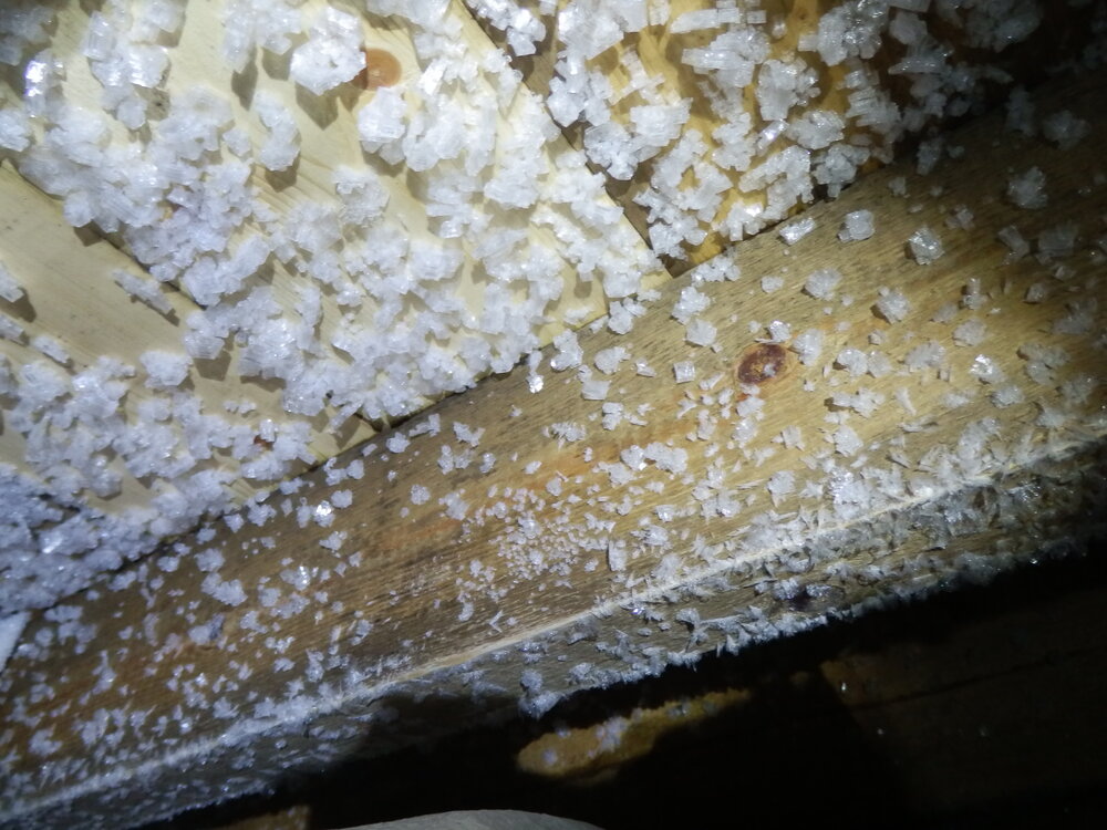 Under floor, Shackleton's 'Nimrod' Hut 