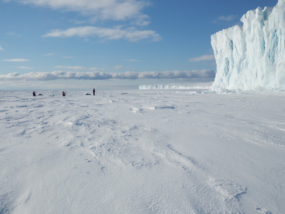 K170 team and Barne Glacier 