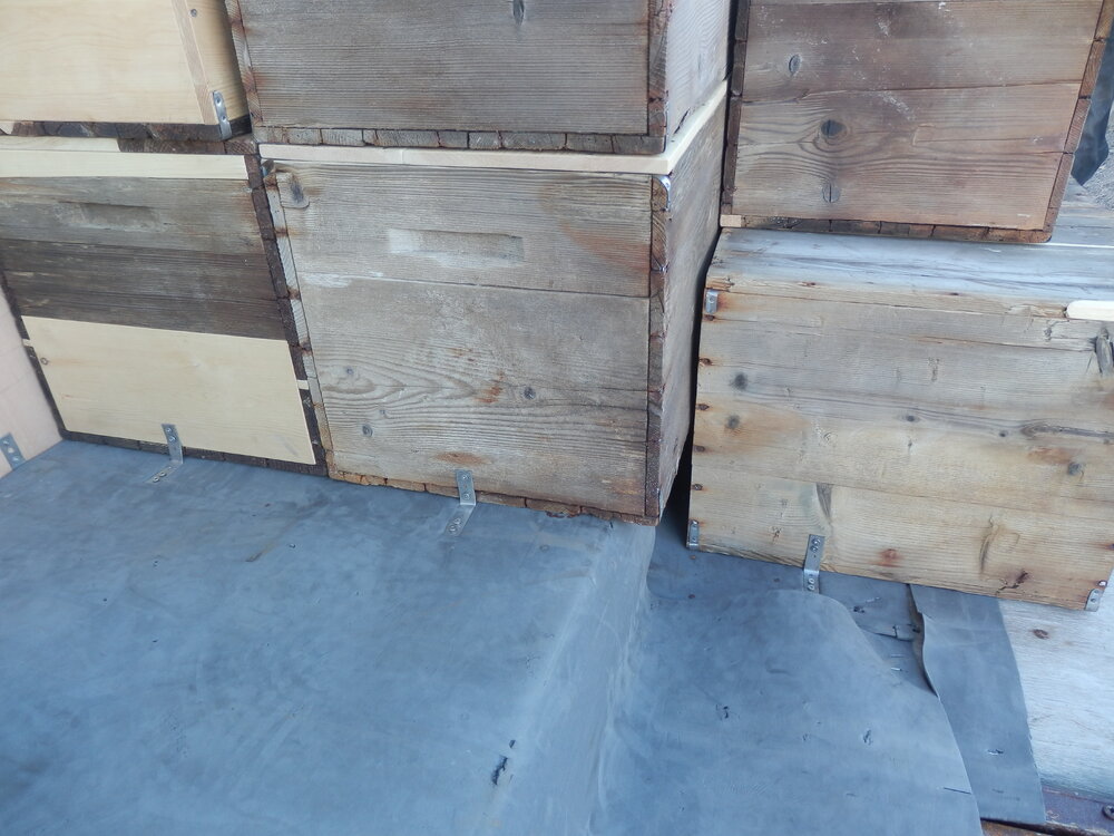 Foam layer for cases, Shackleton's 'Nimrod' Hut