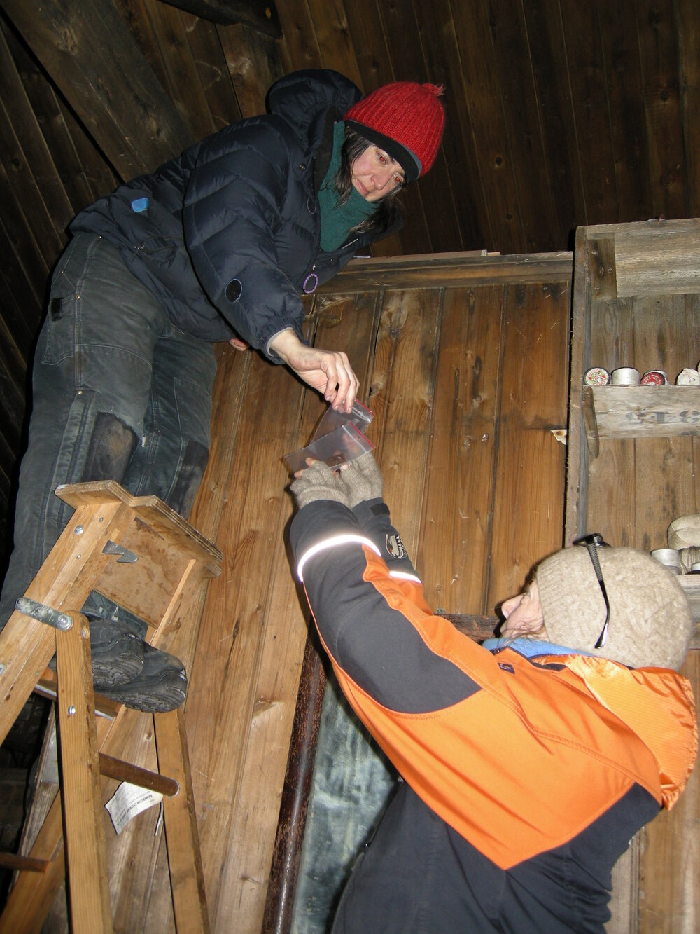 2013-14 Lizzie Meek and Nicola Dunn removing coupons from above Scott's Cubicle