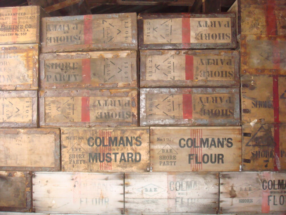 2013-14 Colman's boxes in the bulkhead inside Scott's 'Terra Nova' hut, Cape Evans (001)