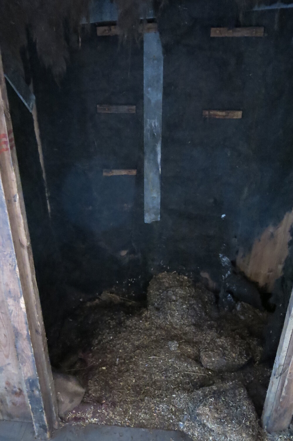 2013-14 Location image, loose chaff, Scott's 'Discovery' hut, Hut Point