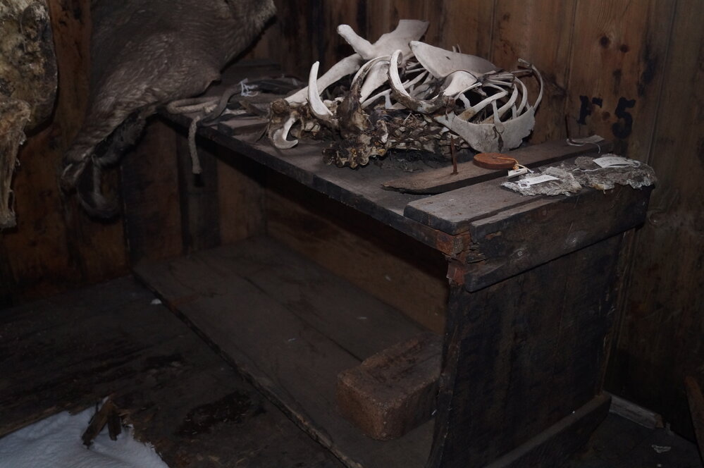 2013-14 Location image, Emperor penguin skeletons, Scott's 'Discovery' hut, Hut Point