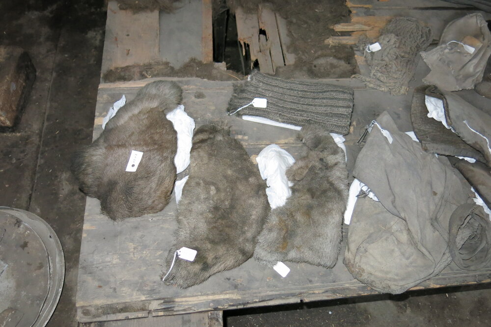 2013-14 Location image, artefacts on sleeping platform, Scott's 'Discovery' hut, Hut Point (003)