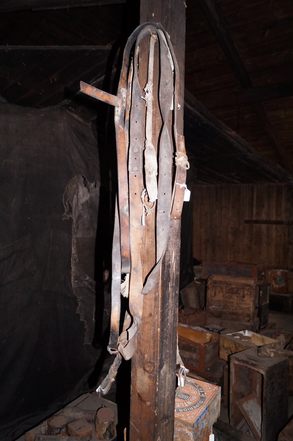 2013-14 Location image, artefacts on post, Scott's 'Discovery' hut, Hut Point (002)
