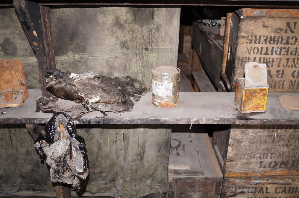 2013-14 Location image, artefacts in the Physical Laboratory, Scott's 'Discovery' hut, Hut Point (002)
