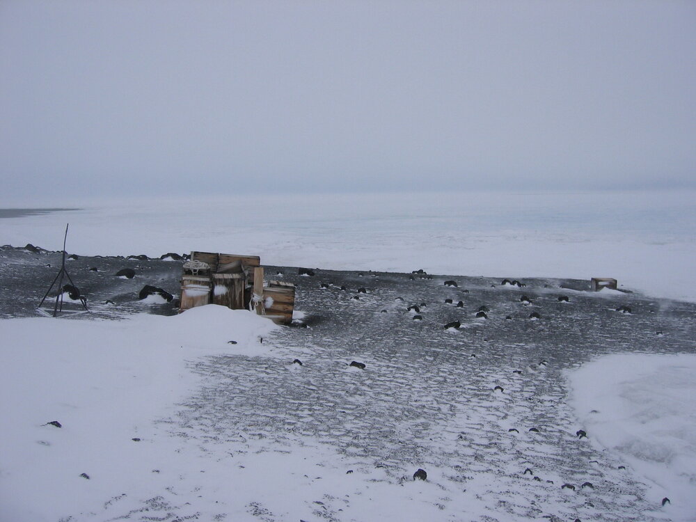 2005-06 Stores boxes stacked up at Cape Evans (001)