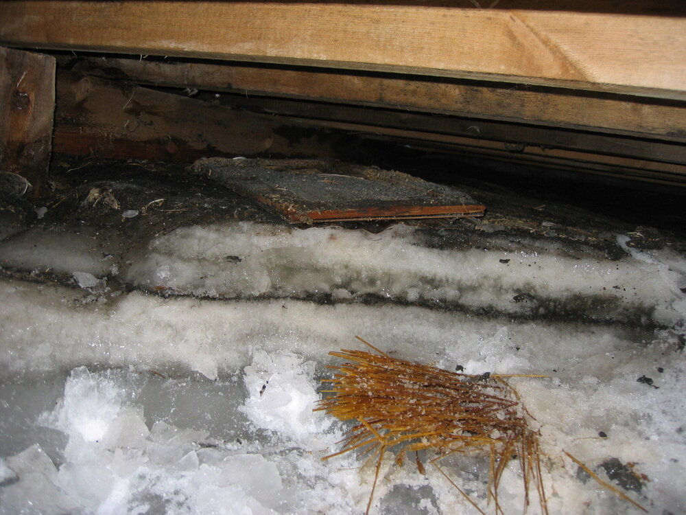 2005-06 Artefacts found under the floor of Shackleton's 'Nimrod' hut, Cape Royds (002)