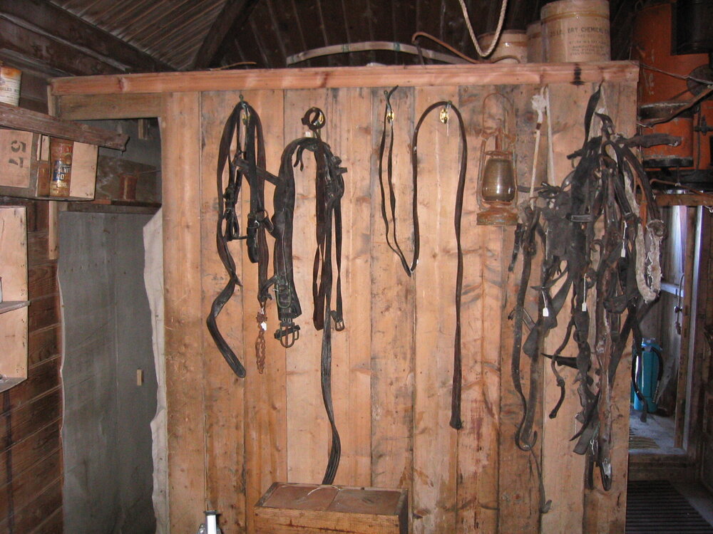 2005 Leather tack inside Shackleton's 'Nimrod' hut, Cape Royds