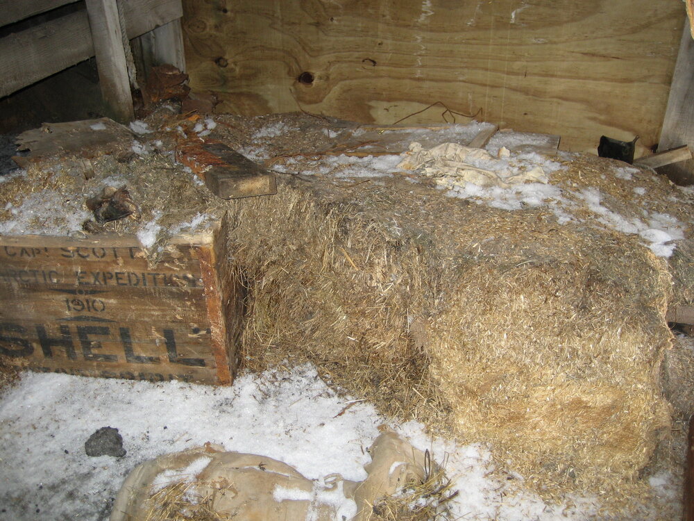 2006 Scott's 'Terra Nova' hut interior, Cape Evans (009)