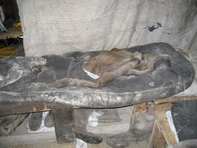 2006 Shackleton's 'Nimrod' hut interior, Cape Royds (007)