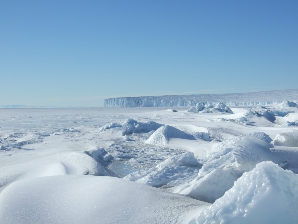 Barne Glacier (005)