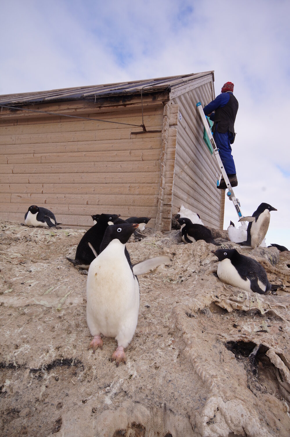 2015-16 Temporary repair, loft window (001)