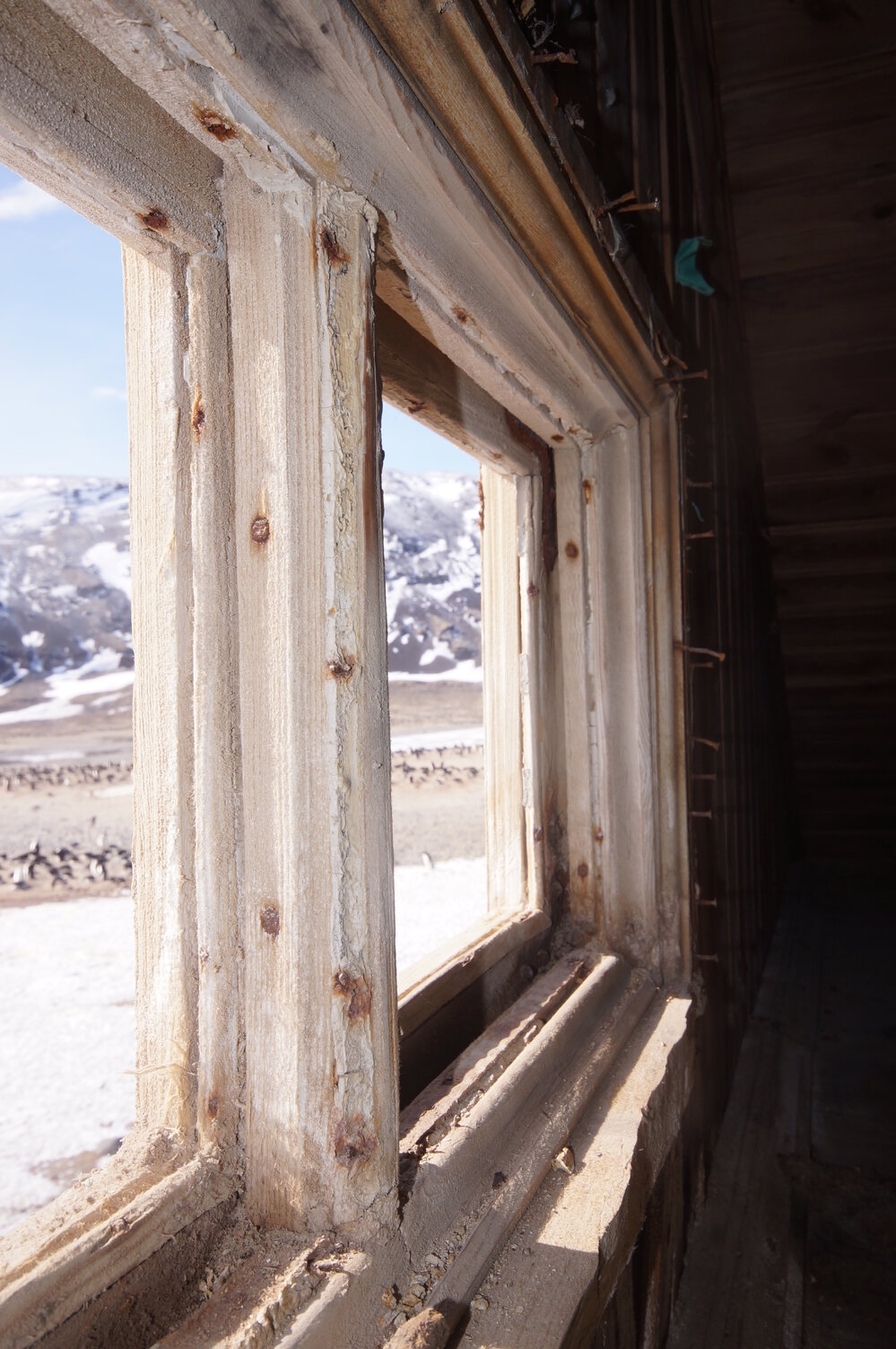 2015-16 Loft window, Borchgrevink's Living hut (021)