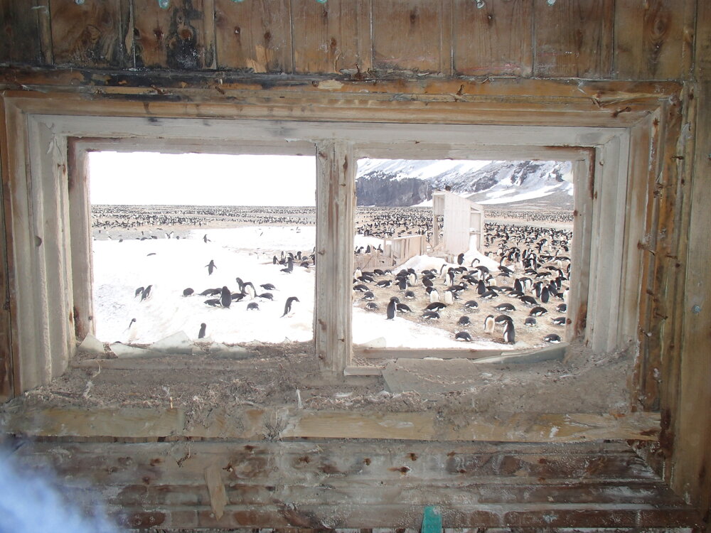 2015-16 Loft window, Borchgrevink's Living hut (024)