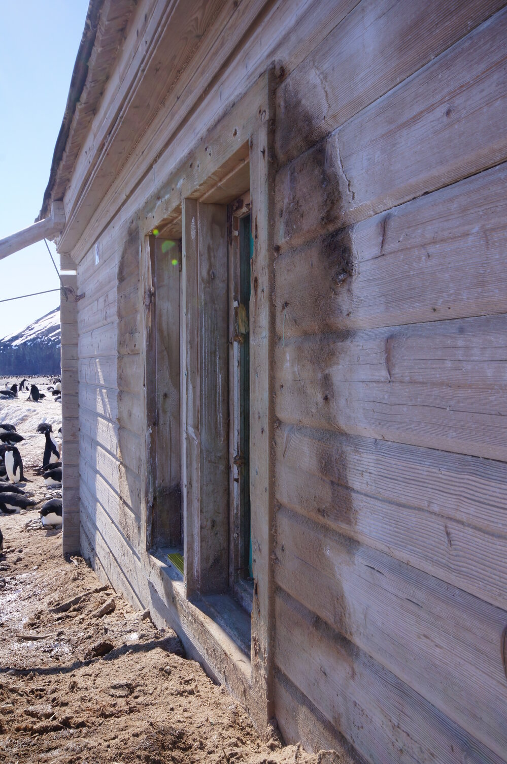 2015-16 West window, Borchgrevink's Living hut (005)