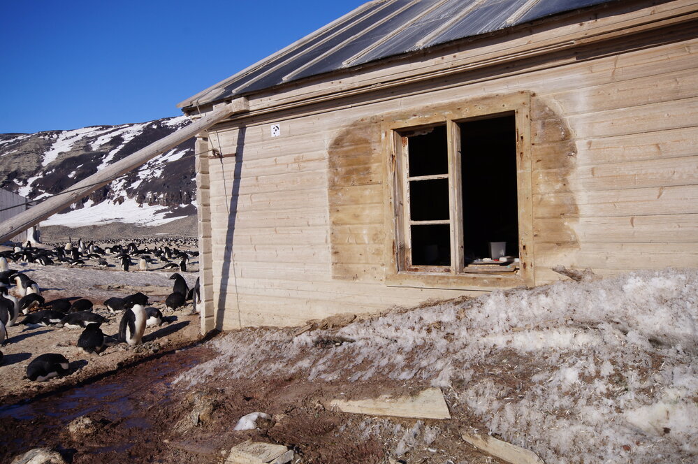 2015-16 West window, Borchgrevink's Living hut (009)