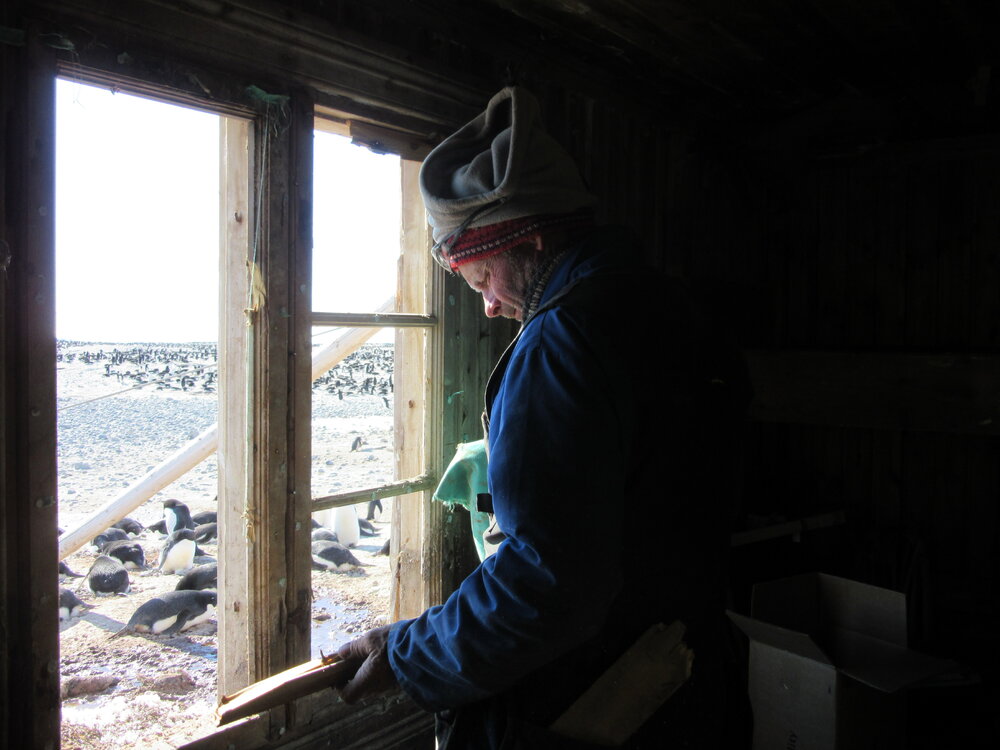 2015-16 Torbj&Atilde;&cedil;ern Prytz working on window (002)