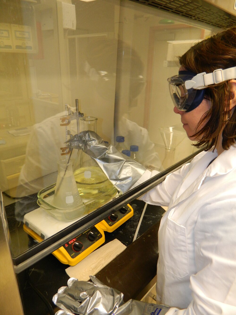 2012 AHT's Gretel Evans working under a fume hood