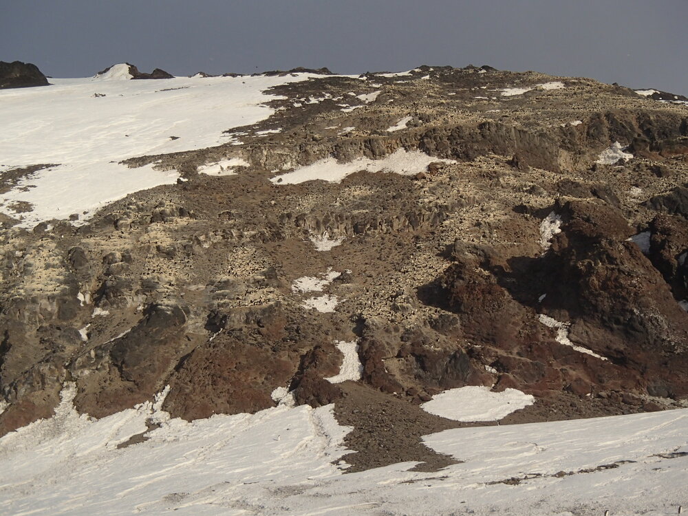 2015-16 Ad&eacute;lie penguins at Cape Adare (007)