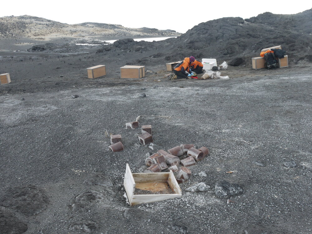 2010-11 Diana Komejan excavating deposits at Cape Royds