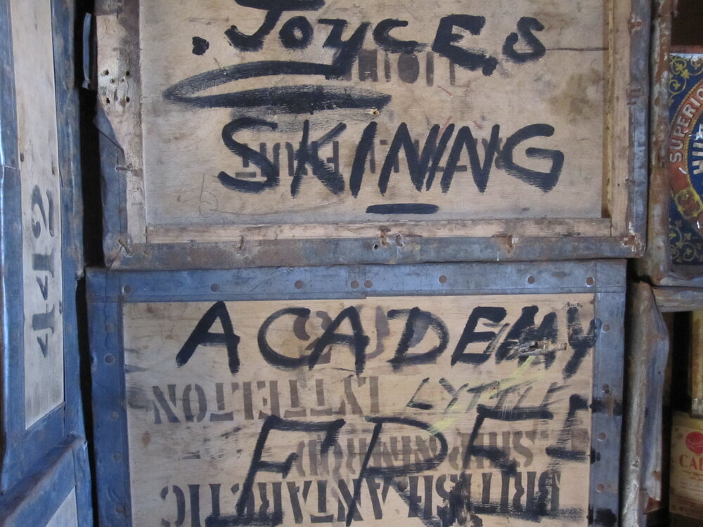 2010-11 "Joyce's SKINING ACADEMY FREE"