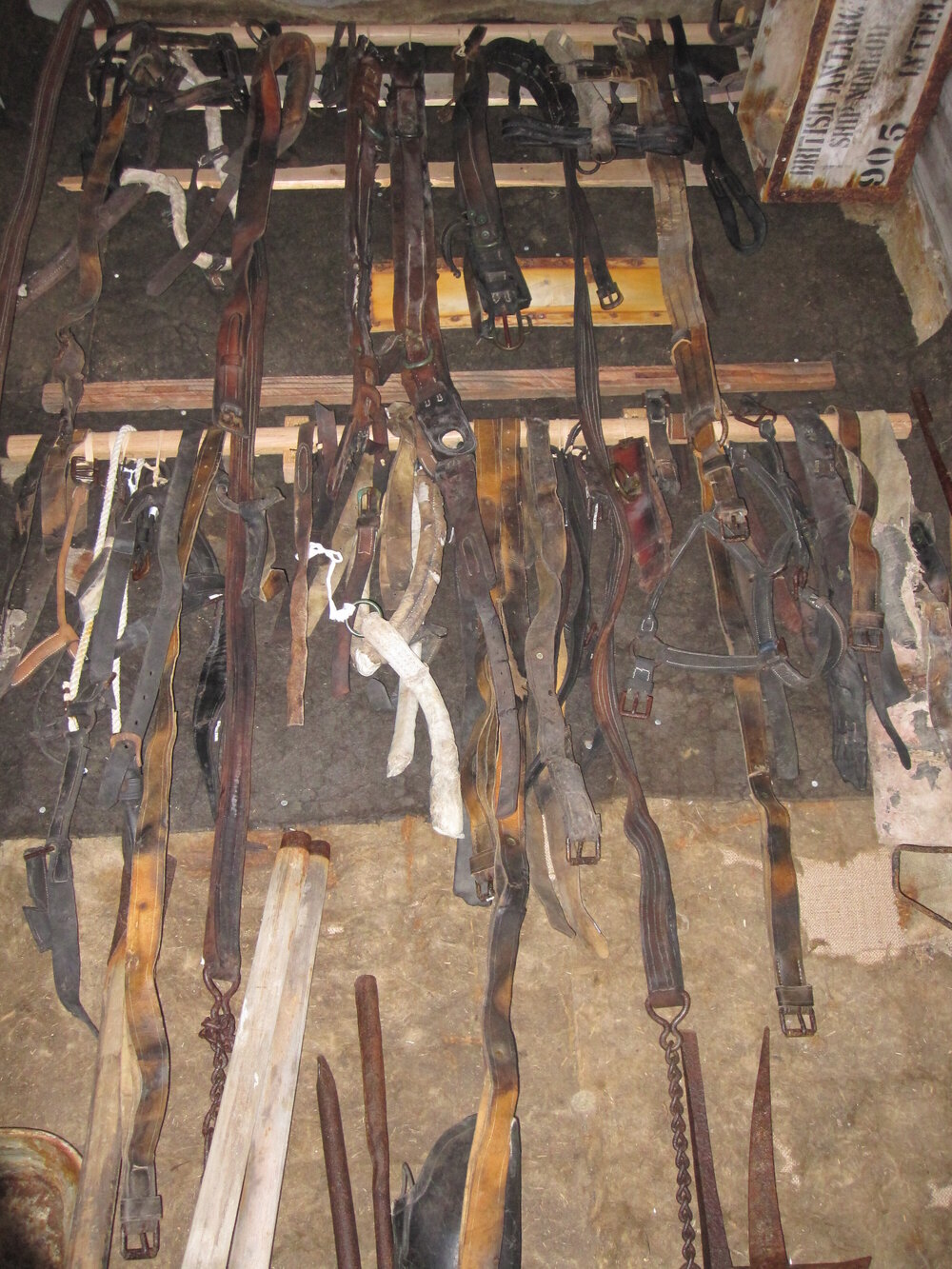 2010-11 Tack hanging inside Mawson's laboratory, Cape Royds
