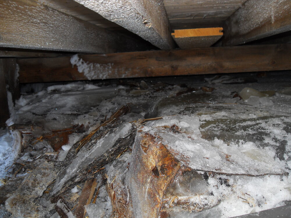 2010-11 Ice build-up underneath Shackleton's 'Nimrod' hut (001)