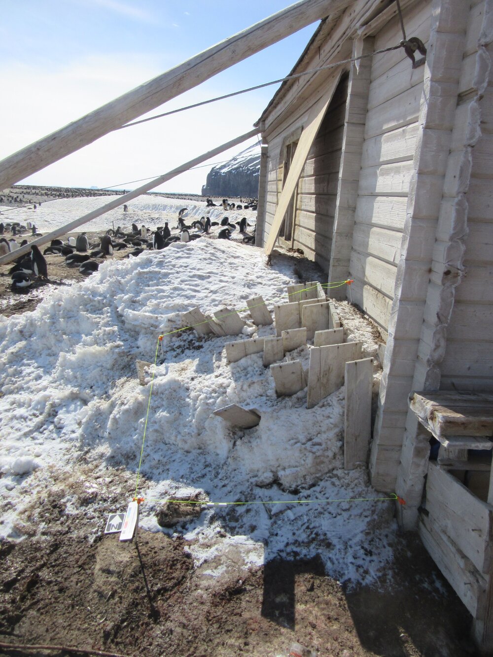 Ice excavation trial, Cape Adare 2015-16 (014)