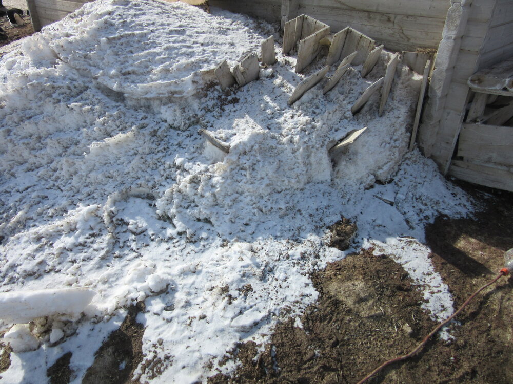 Ice excavation trial, Cape Adare 2015-16 (021)