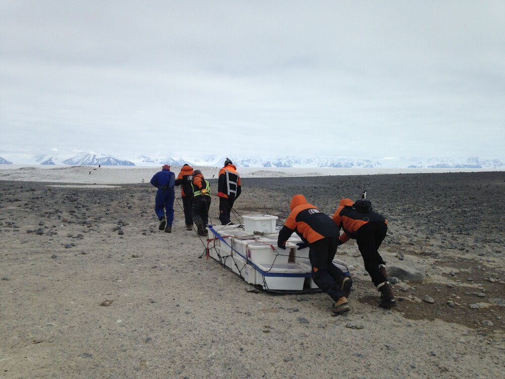 2015-16 Transporting artefacts, Cape Adare (001)