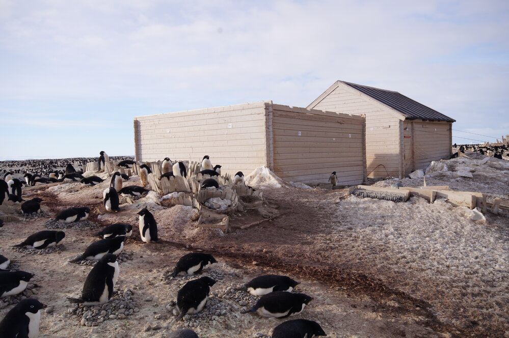 2015-16 inspection, Stores hut, exterior (001)