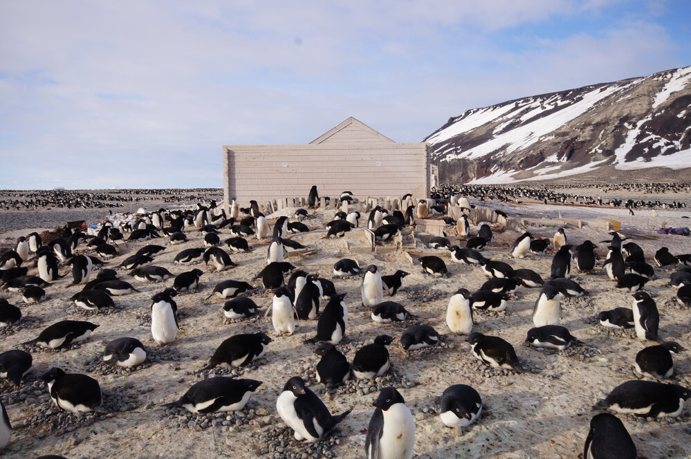 2015-16 inspection, Stores hut, exterior (002)