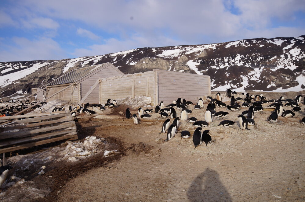 2015-16 inspection, Stores hut, exterior (003)