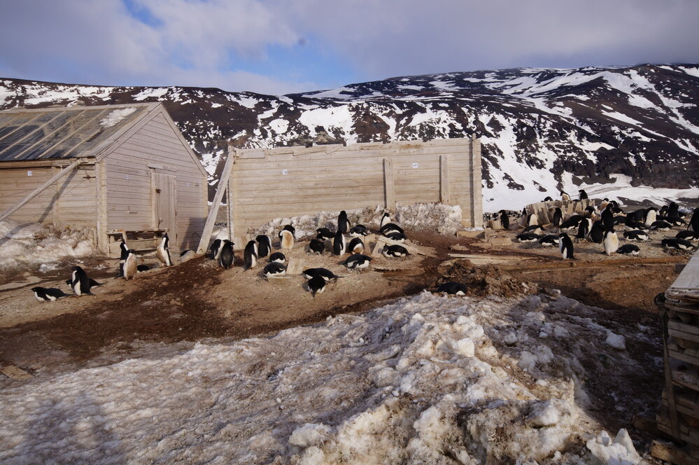 2015-16 inspection, Stores hut, exterior (004)