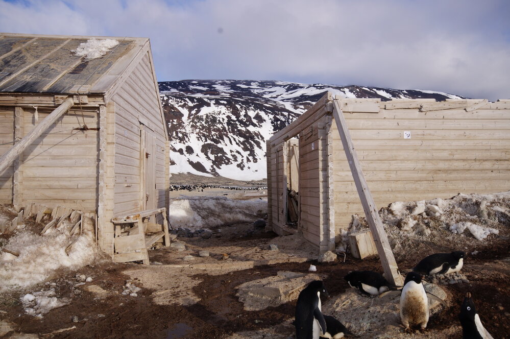 2015-16 inspection, Borchgrevink's hut, exterior (015)