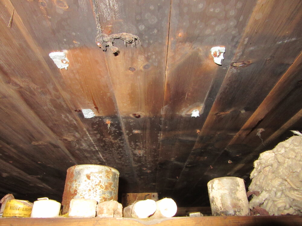 2015-16 Asbestos in Borchgrevink's hut